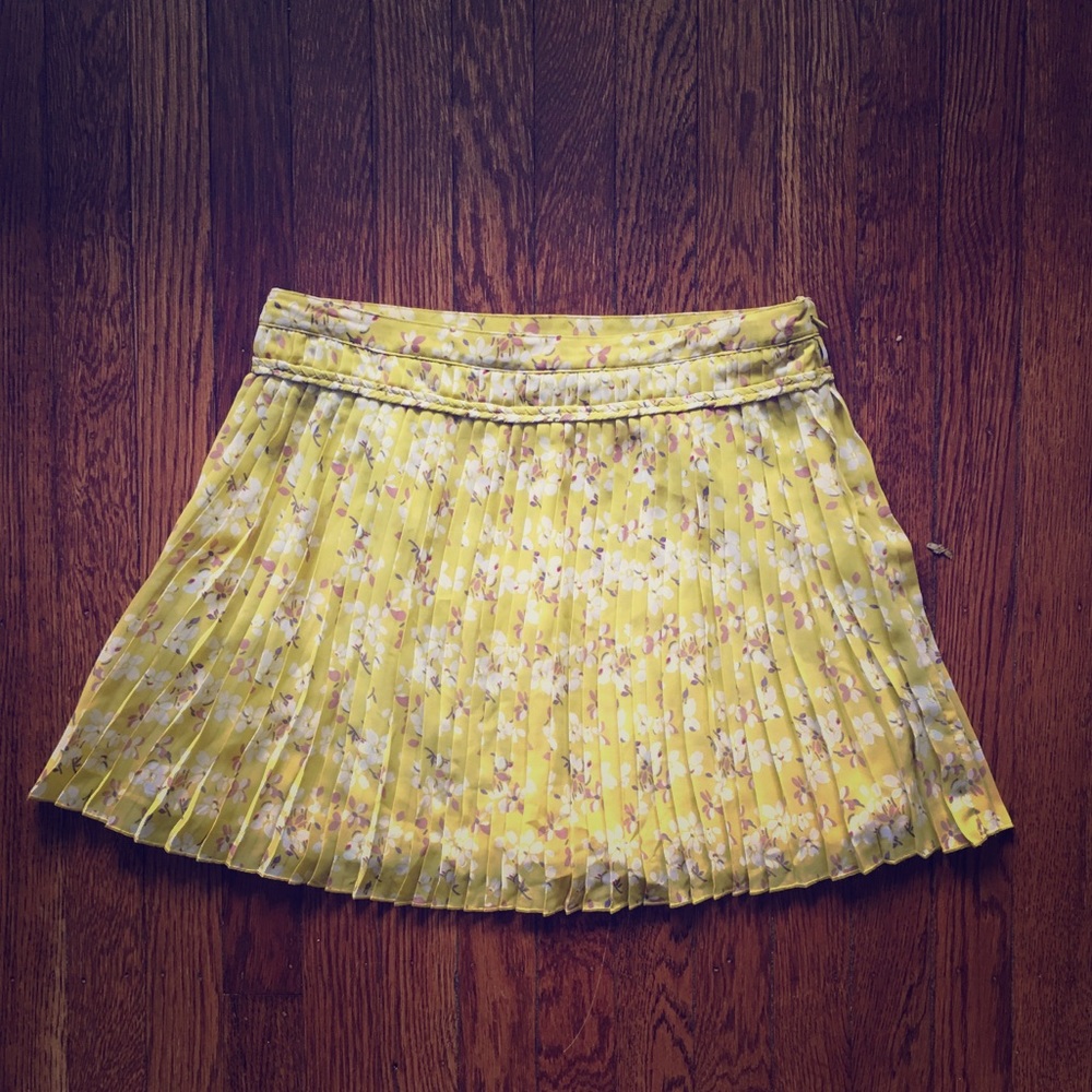American Eagle Pleated Skirt